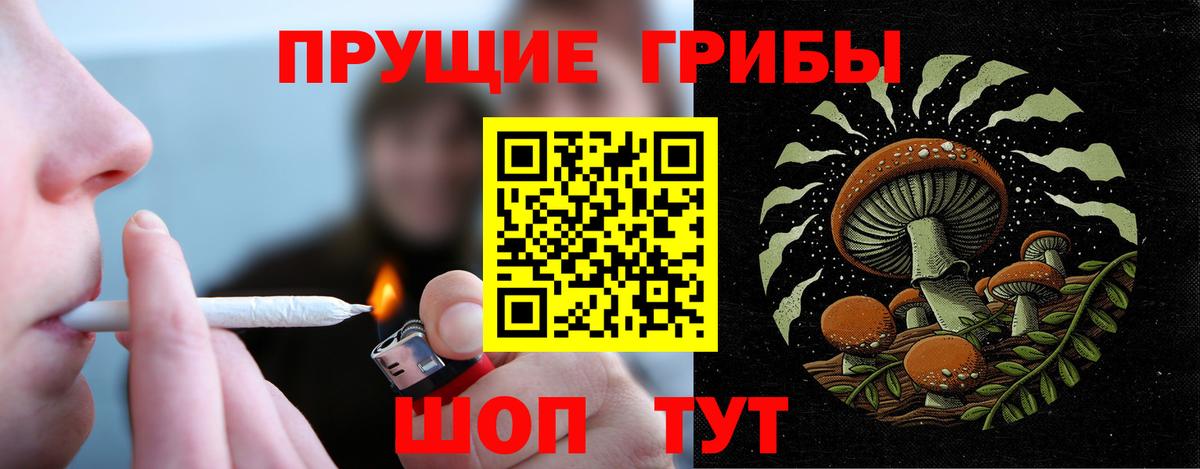 Псилоцибиновые грибы мицелий  Вход с VPN  Галлюциногенные грибы Psilocybe  Королёв 