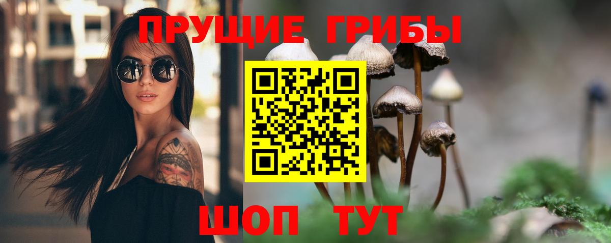 Галлюциногенные грибы Psilocybine cubensis Королёв